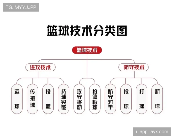 篮球规则详解：两次运球的具体含义与判定依据